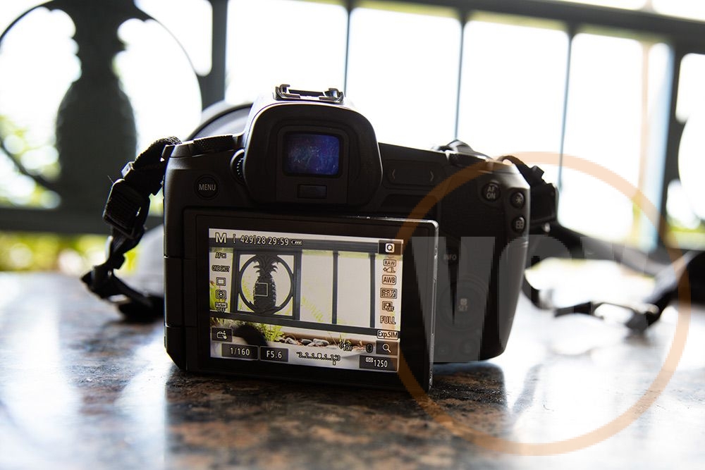 Canon EOS R full-frame mirrorless camera 2